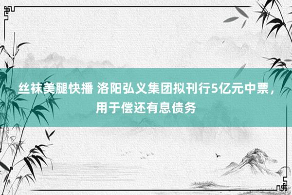 丝袜美腿快播 洛阳弘义集团拟刊行5亿元中票，用于偿还有息债务