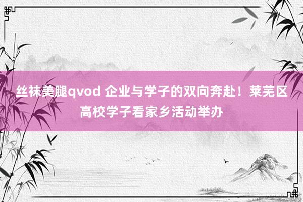丝袜美腿qvod 企业与学子的双向奔赴！莱芜区高校学子看家乡活动举办