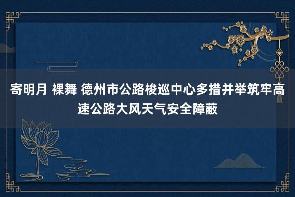 寄明月 裸舞 德州市公路梭巡中心多措并举筑牢高速公路大风天气安全障蔽