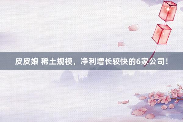 皮皮娘 稀土规模，净利增长较快的6家公司！