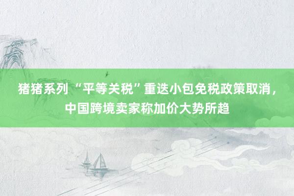 猪猪系列 “平等关税”重迭小包免税政策取消，中国跨境卖家称加价大势所趋