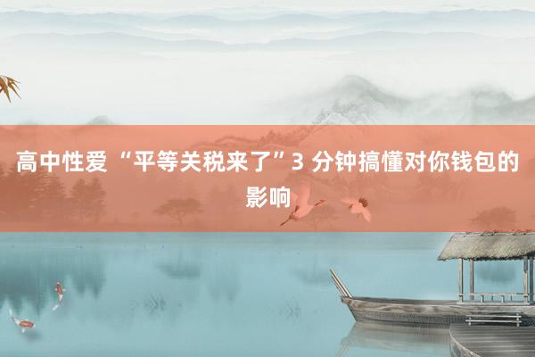 高中性爱 “平等关税来了”3 分钟搞懂对你钱包的影响