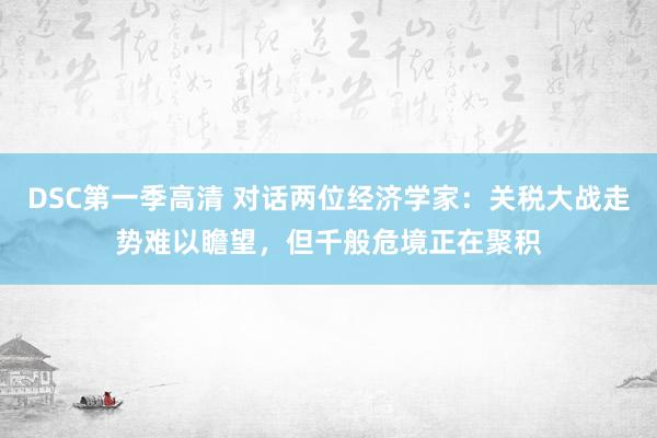 DSC第一季高清 对话两位经济学家：关税大战走势难以瞻望，但千般危境正在聚积