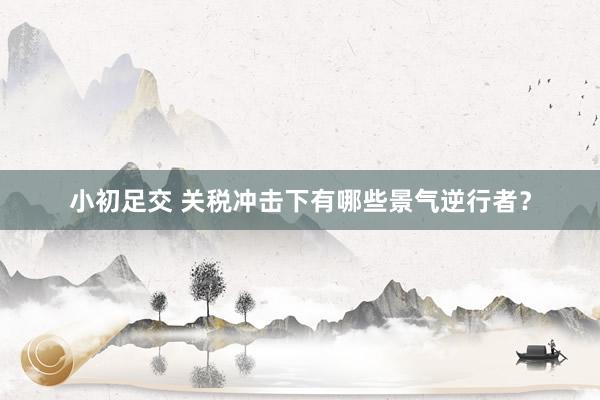 小初足交 关税冲击下有哪些景气逆行者？