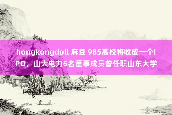 hongkongdoll 麻豆 985高校将收成一个IPO，山大电力6名董事成员曾任职山东大学