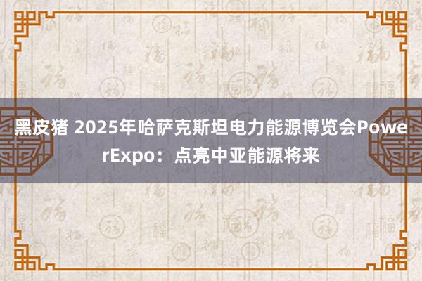 黑皮猪 2025年哈萨克斯坦电力能源博览会PowerExpo：点亮中亚能源将来