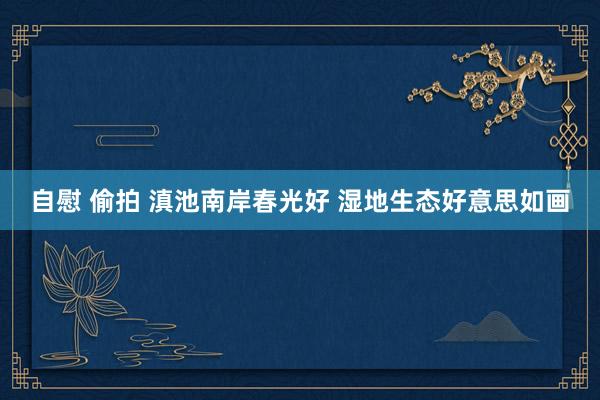 自慰 偷拍 滇池南岸春光好 湿地生态好意思如画