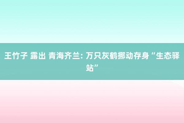 王竹子 露出 青海齐兰: 万只灰鹤挪动存身“生态驿站”