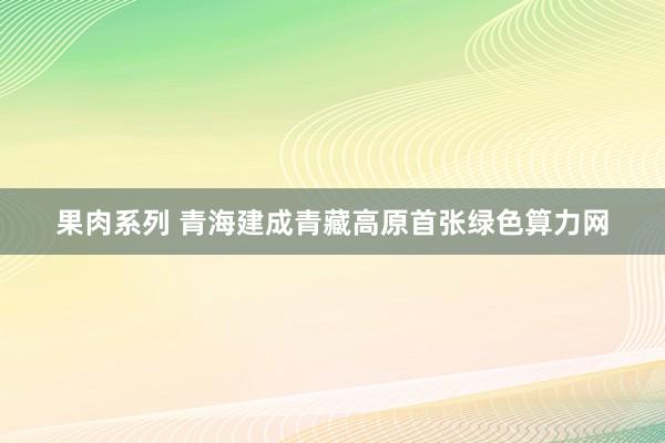 果肉系列 青海建成青藏高原首张绿色算力网