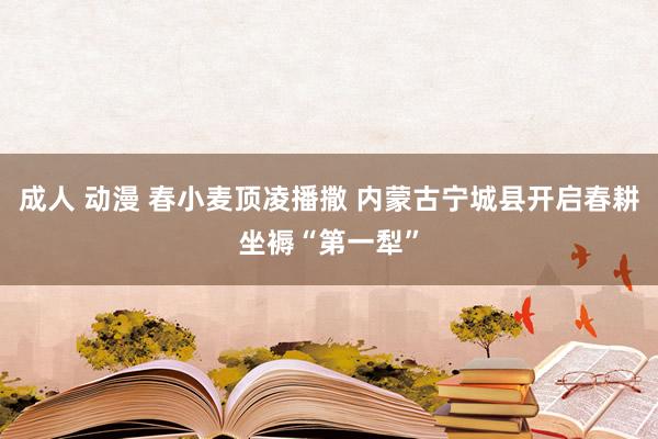 成人 动漫 春小麦顶凌播撒 内蒙古宁城县开启春耕坐褥“第一犁”