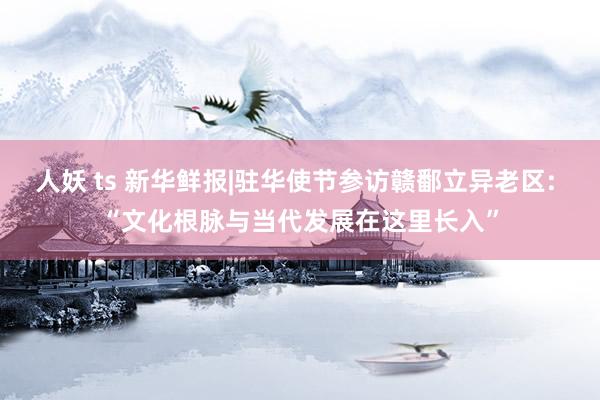 人妖 ts 新华鲜报|驻华使节参访赣鄱立异老区: “文化根脉与当代发展在这里长入”