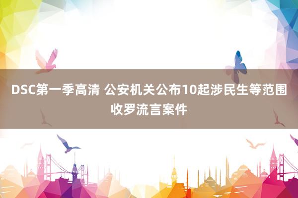 DSC第一季高清 公安机关公布10起涉民生等范围收罗流言案件