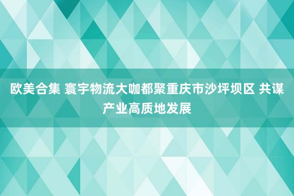 欧美合集 寰宇物流大咖都聚重庆市沙坪坝区 共谋产业高质地发展