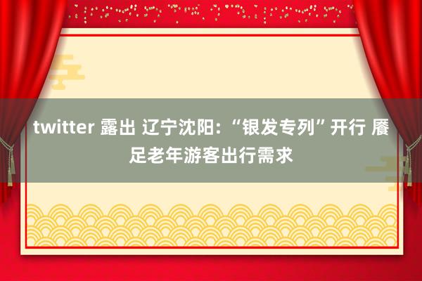 twitter 露出 辽宁沈阳: “银发专列”开行 餍足老年游客出行需求