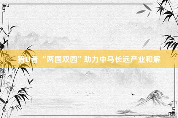 猎U者 “两国双园”助力中马长远产业和解