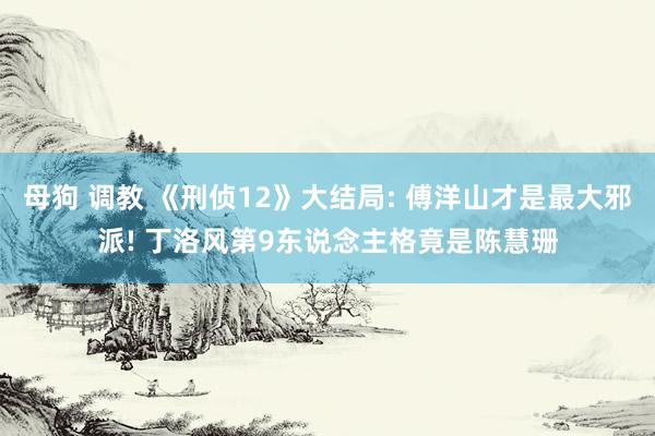 母狗 调教 《刑侦12》大结局: 傅洋山才是最大邪派! 丁洛风第9东说念主格竟是陈慧珊