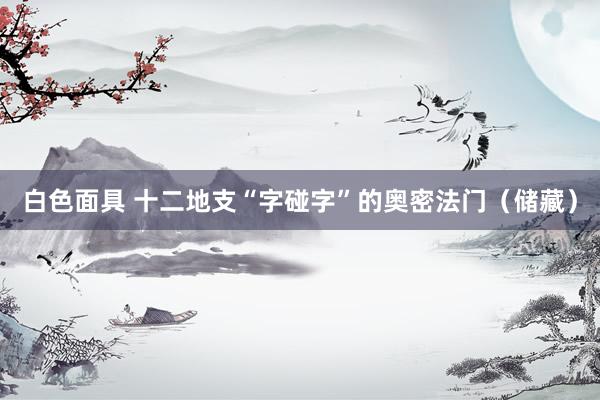 白色面具 十二地支“字碰字”的奥密法门（储藏）
