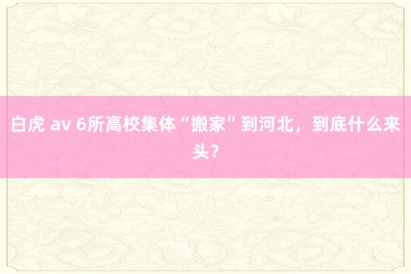 白虎 av 6所高校集体“搬家”到河北，到底什么来头？