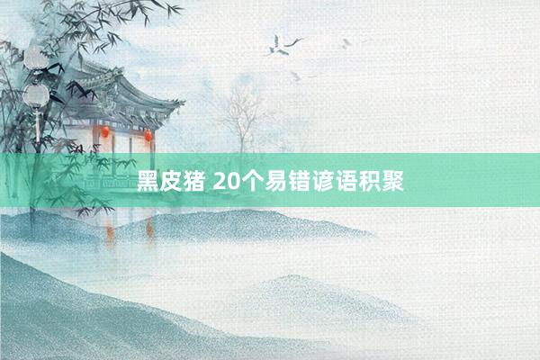 黑皮猪 20个易错谚语积聚