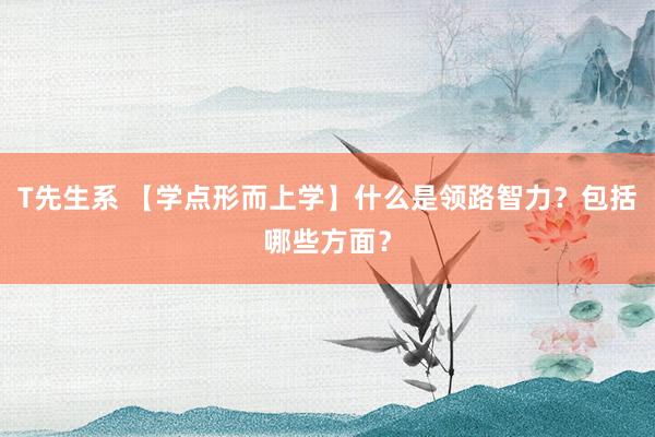 T先生系 【学点形而上学】什么是领路智力？包括哪些方面？