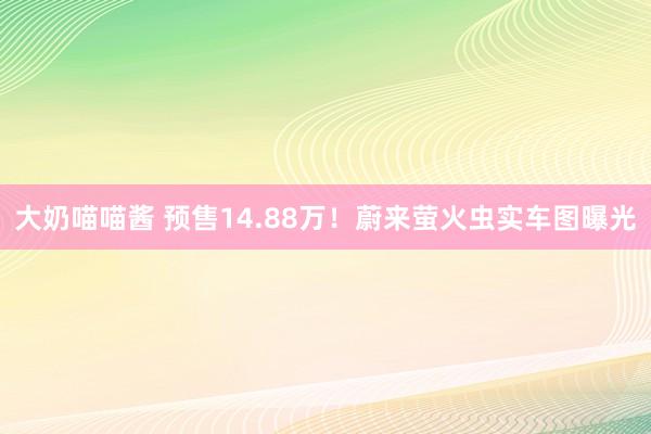 大奶喵喵酱 预售14.88万！蔚来萤火虫实车图曝光
