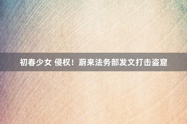 初春少女 侵权！蔚来法务部发文打击盗窟