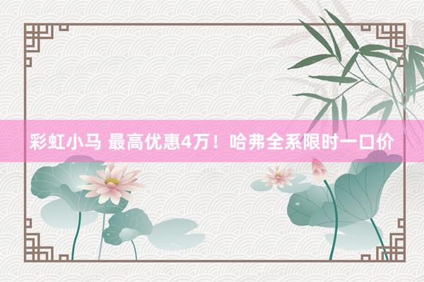彩虹小马 最高优惠4万！哈弗全系限时一口价