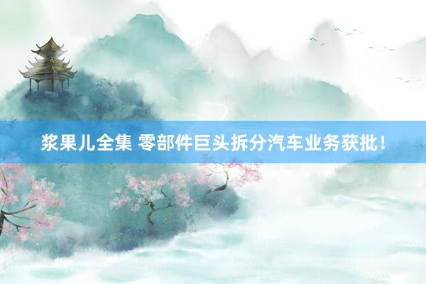 浆果儿全集 零部件巨头拆分汽车业务获批！